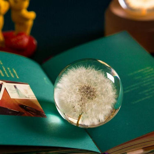 3D Carving Crystal Ball Eternal Flower -80mm Minimalist Dandelion Crystal Ball Decoration